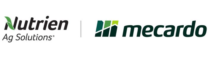 Mercado
